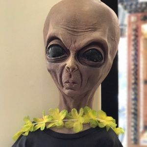 Meet your Posher, Felix